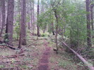 photo thumbnail #5