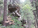 photo thumbnail #9