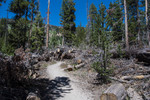 photo thumbnail #6