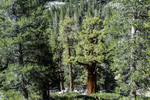 photo thumbnail #10