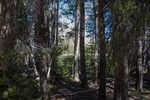 photo thumbnail #13
