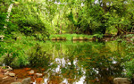photo thumbnail #4