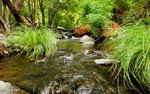 photo thumbnail #8