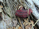 photo thumbnail #10