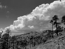 photo thumbnail #15