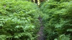 photo thumbnail #15