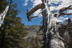photo thumbnail #10