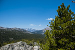 photo thumbnail #11