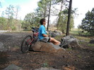 photo thumbnail #4