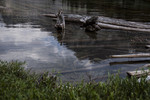 photo thumbnail #15