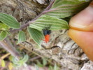 photo thumbnail #13
