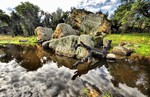 photo thumbnail #2