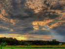 photo thumbnail #2