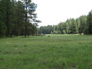 photo thumbnail #15