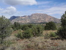 photo thumbnail #3