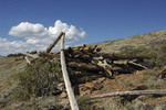 photo thumbnail #5