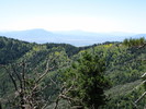 photo thumbnail #3