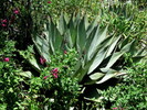 photo thumbnail #9