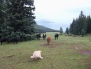 photo thumbnail #5