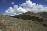 photo thumbnail #8