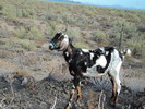 photo thumbnail #2