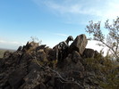 photo thumbnail #3