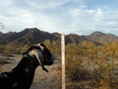 photo thumbnail #4