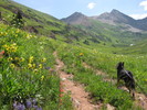 photo thumbnail #2