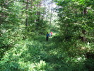 photo thumbnail #4