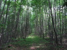 photo thumbnail #13