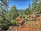 photo thumbnail #3
