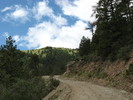 photo thumbnail #4