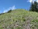 photo thumbnail #11