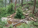 photo thumbnail #5