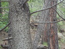 photo thumbnail #13