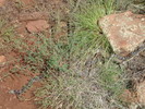 photo thumbnail #15