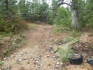 photo thumbnail #8