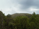 photo thumbnail #12
