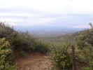 photo thumbnail #13