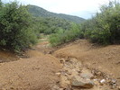photo thumbnail #15