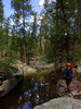 photo thumbnail #3
