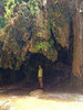 photo thumbnail #14