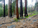 photo thumbnail #9