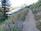 photo thumbnail #4