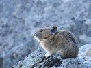 photo thumbnail #6