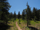 photo thumbnail #1