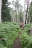 photo thumbnail #2