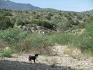 photo thumbnail #2