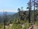 photo thumbnail #8