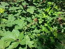 photo thumbnail #14